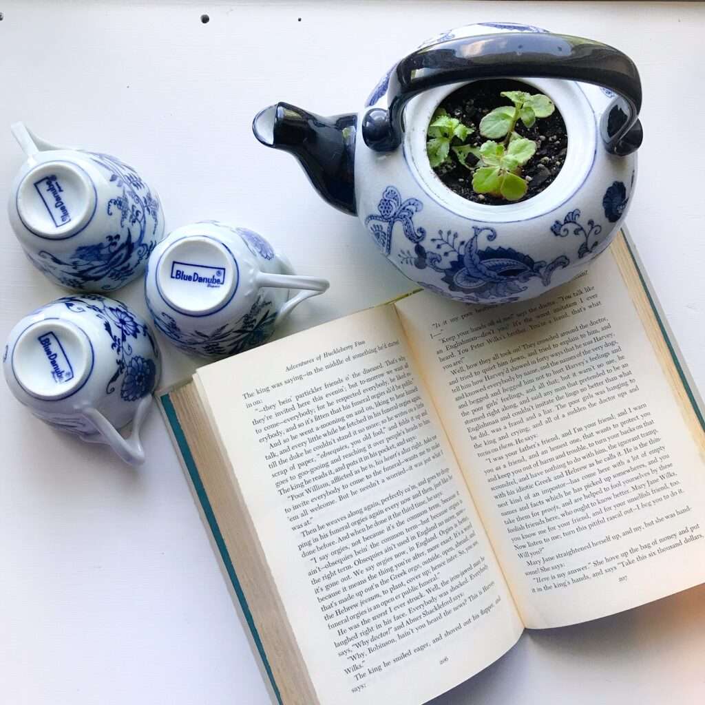 Word Wilderness, book blog, Bookstagram Page