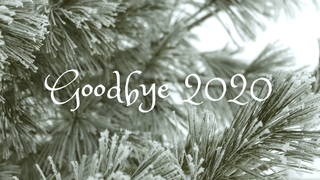 Goodbye 2020, Wrap up post, Word Wilderness,