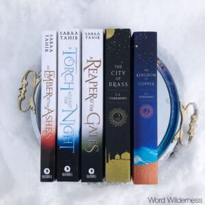 Long Term Projects for Word Wilderness