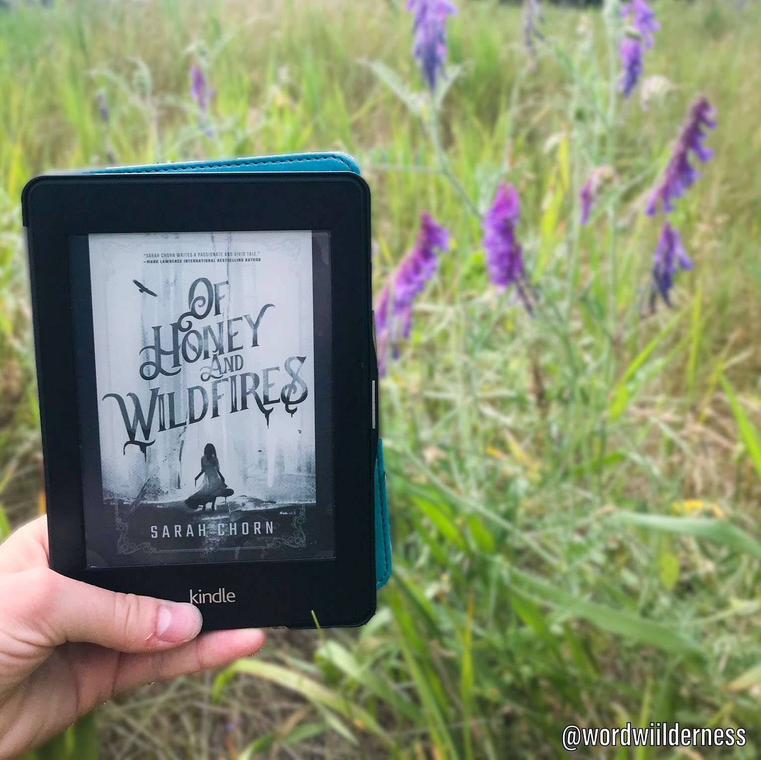 Review: Of Honey and Wildfires by Sarah Chorn