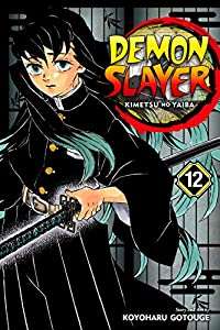 Image of Demon Slayer Volume 12