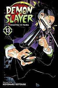 Image of Demon Slayer Volume 13