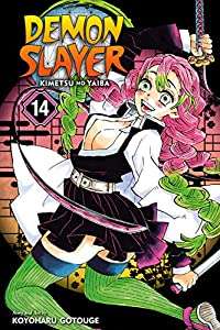Image of Demon Slayer Volume 14
