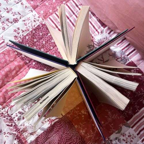 Reading and Blogging Update: I Graduated!