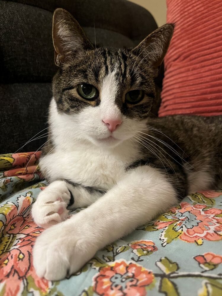 Kevin, my handsome boy